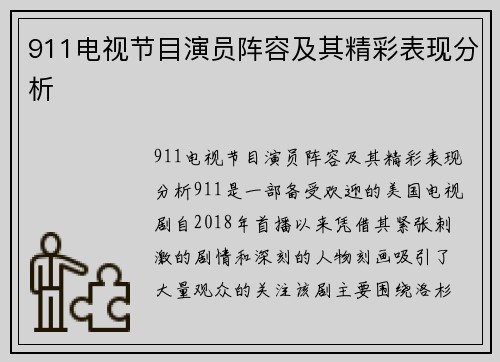 911电视节目演员阵容及其精彩表现分析